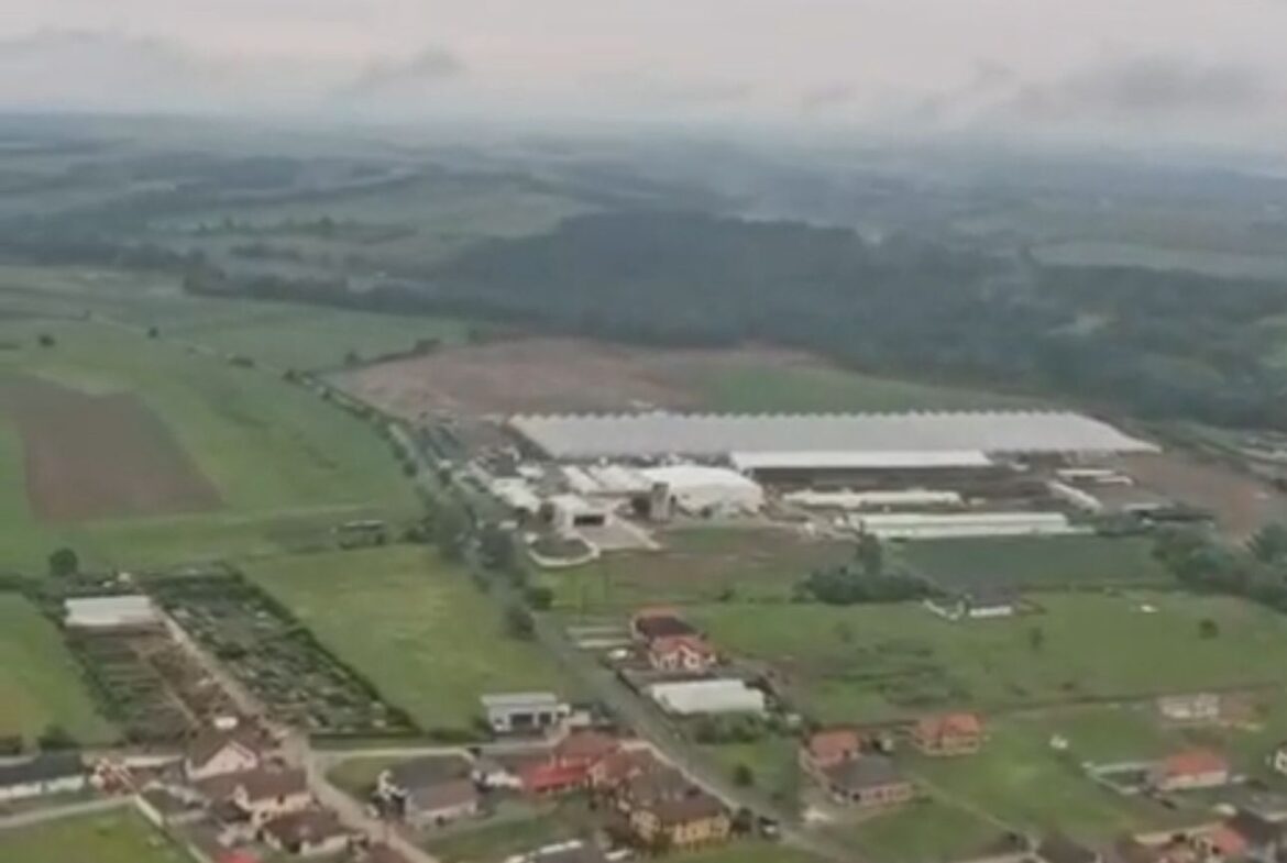 divin-garden,-din-beiuș-(bihor),-curtată-de-investitori-din-polonia,-ungaria-și-slovacia.